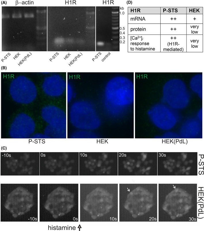 FIGURE 4