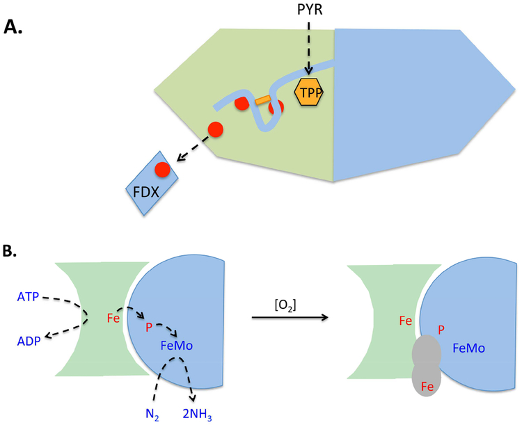 Figure 5.