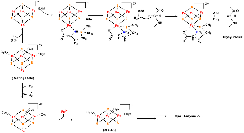 Figure 7.