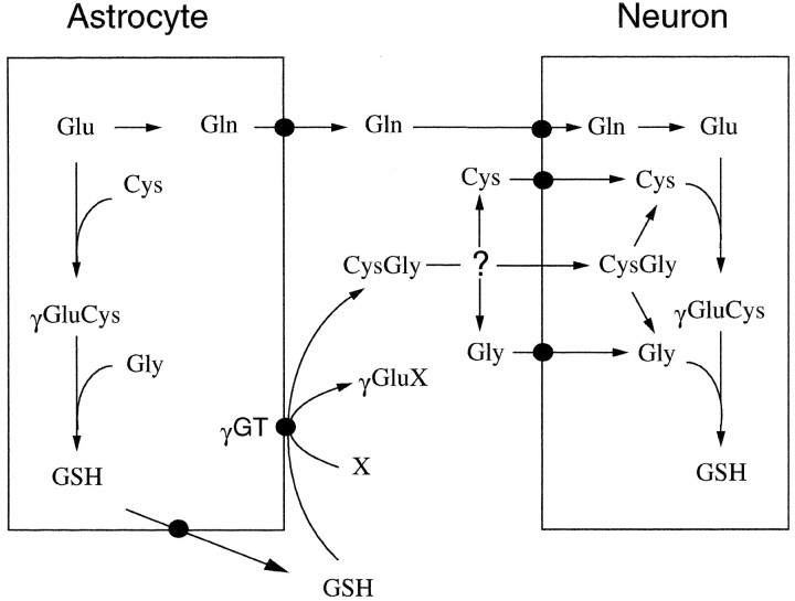 Fig. 8.