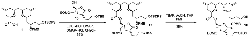 Scheme 6.