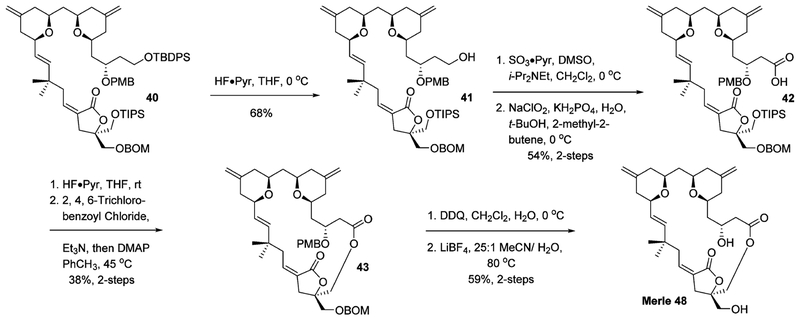 Scheme 15.