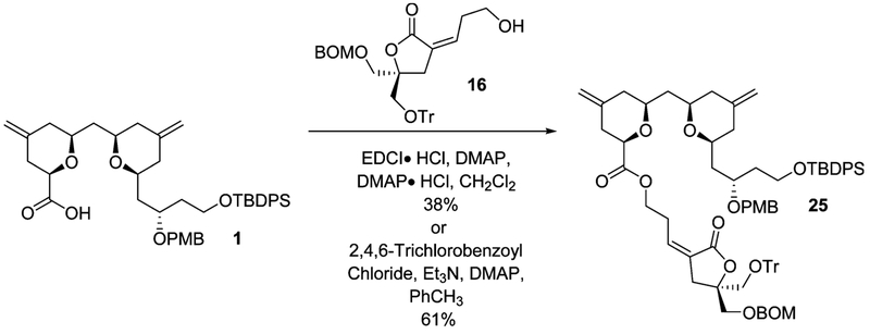 Scheme 8.