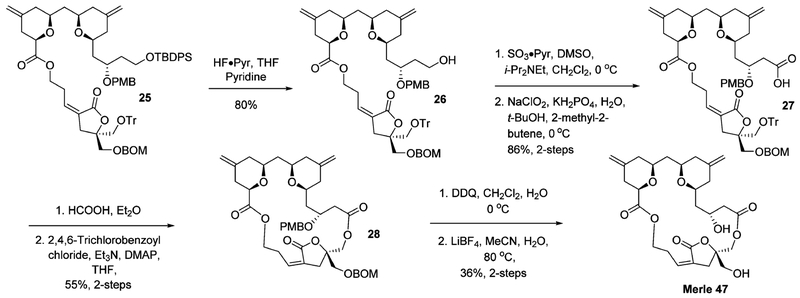 Scheme 9.