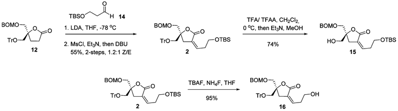 Scheme 5.