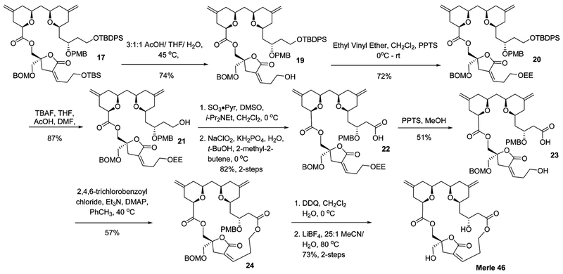 Scheme 7.