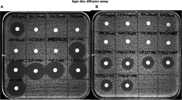 FIG 3