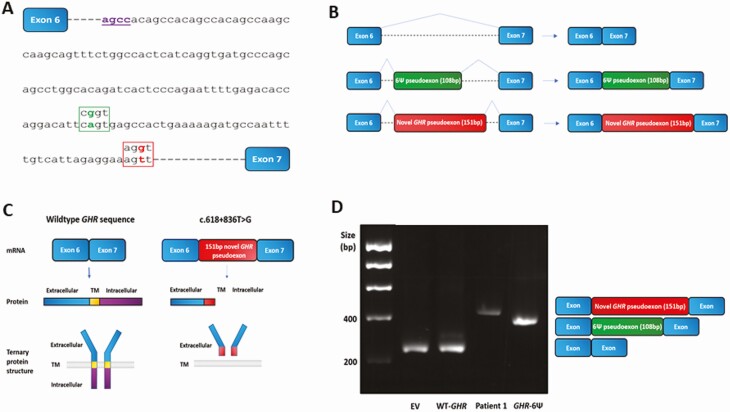 Figure 6.