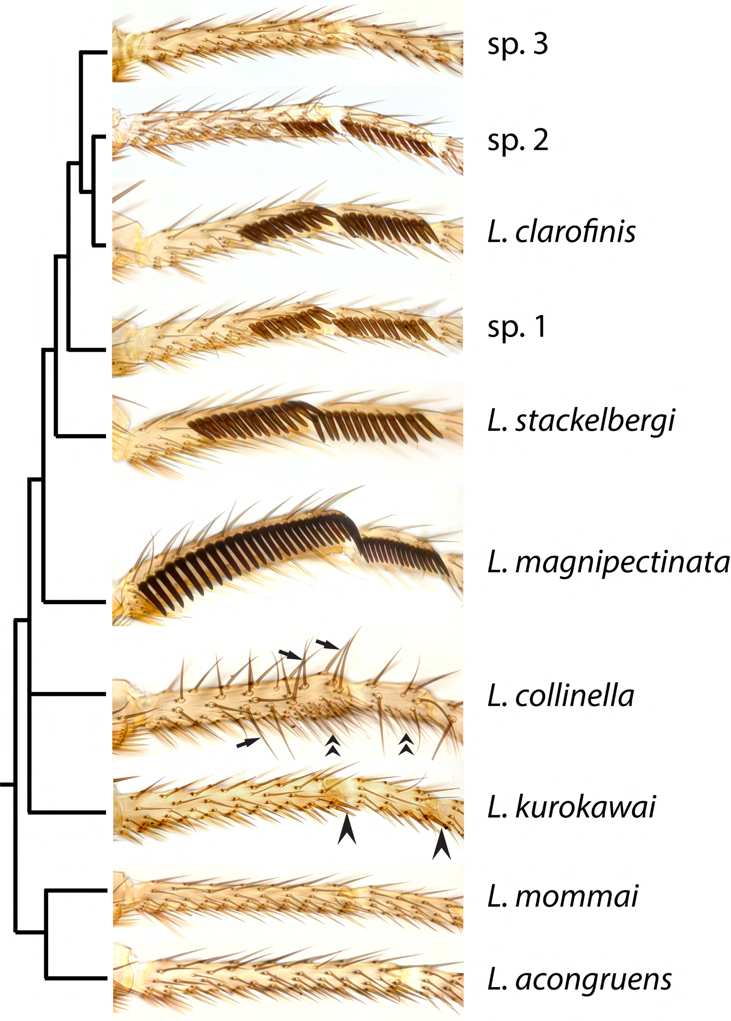 Figure 2.