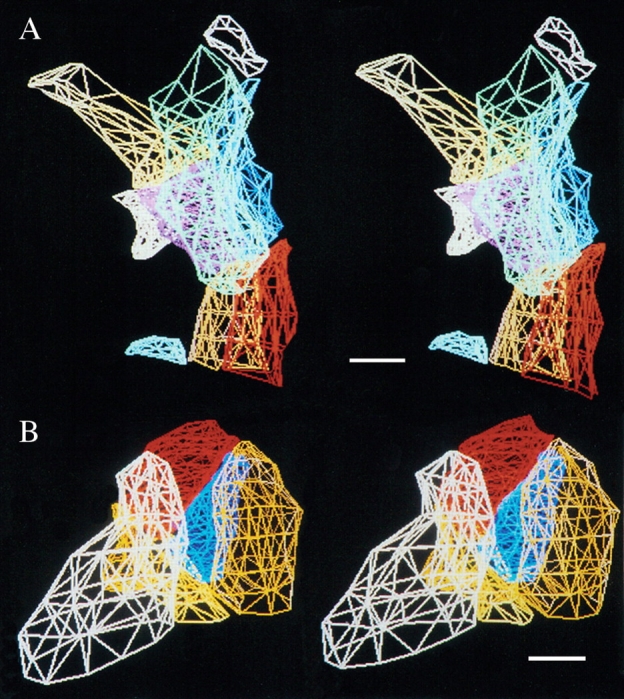 Fig. 7.