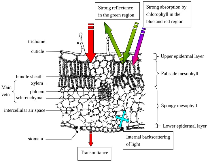 Figure 1.