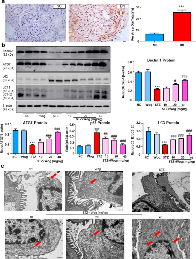 Fig. 10