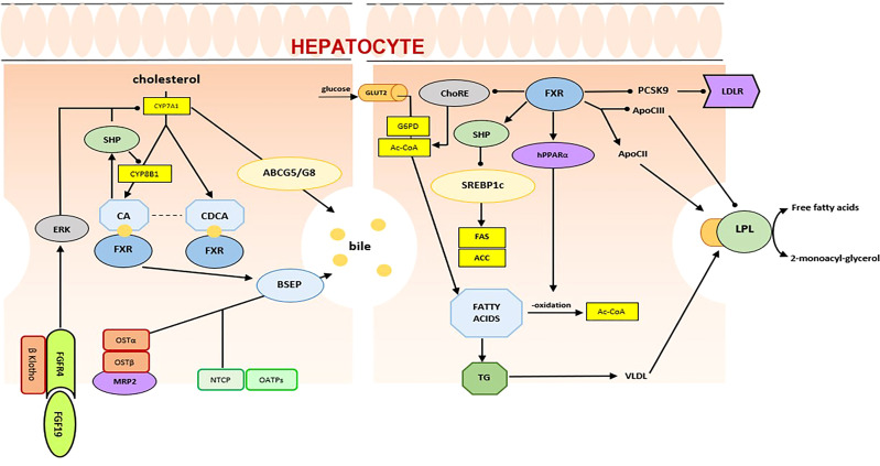 Figure 2