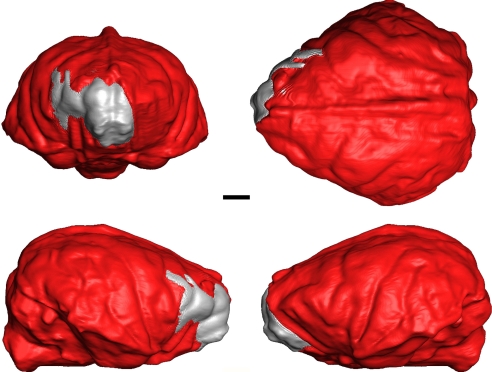 Fig. 3.