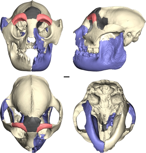 Fig. 1.