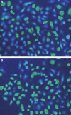 Fig. 6