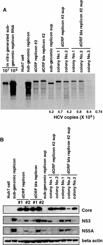 Fig. 5