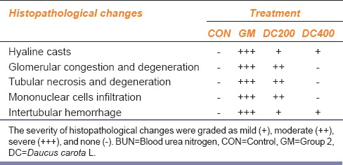 graphic file with name IJPharm-48-122-g004.jpg