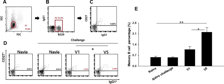 Fig 4