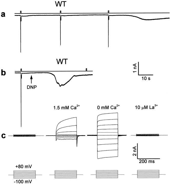 Fig. 7.