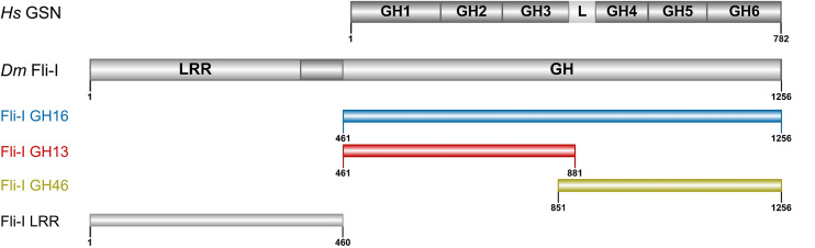 FIGURE 1