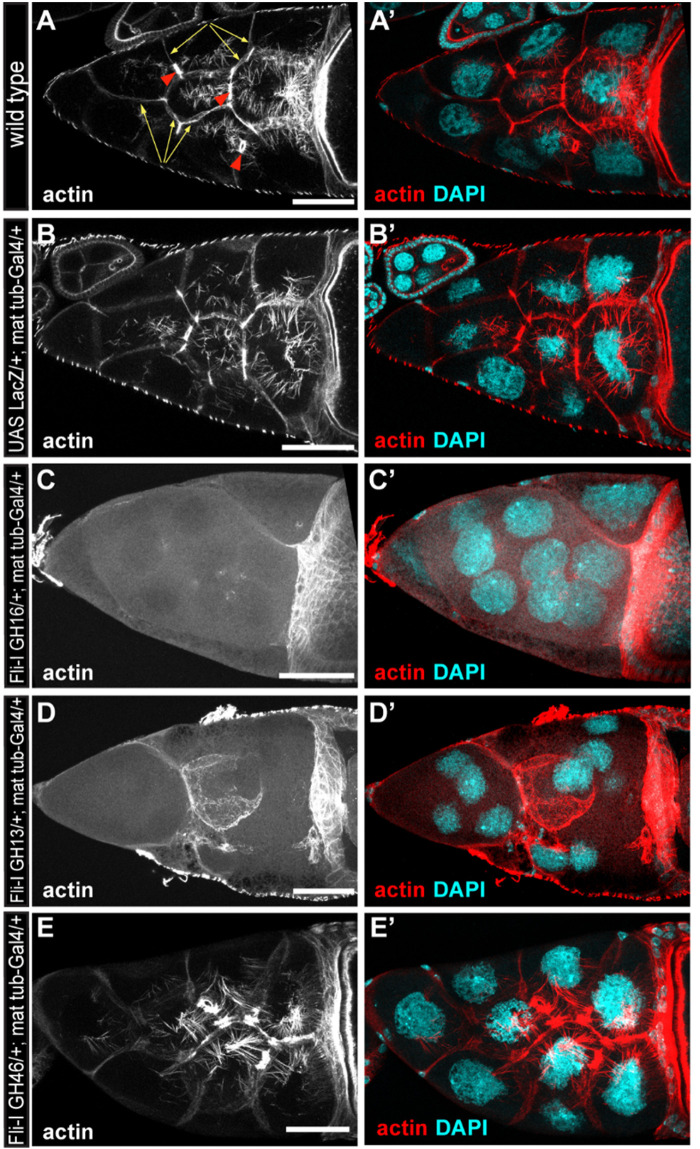 FIGURE 10