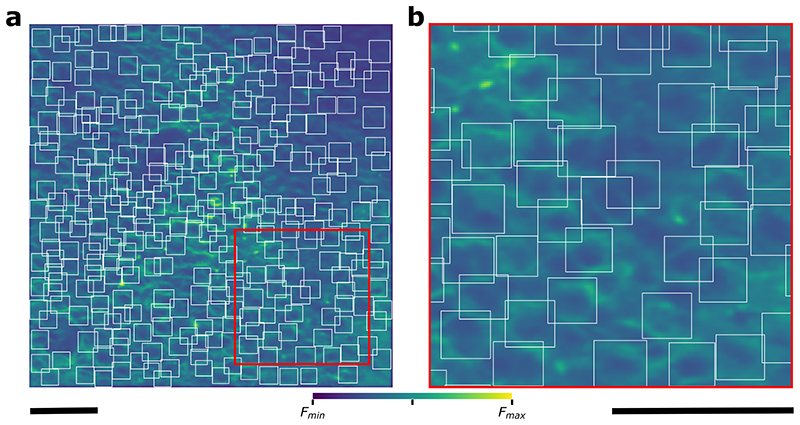 Extended Data Fig. 8