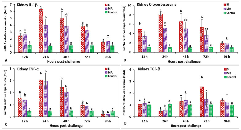 Figure 11