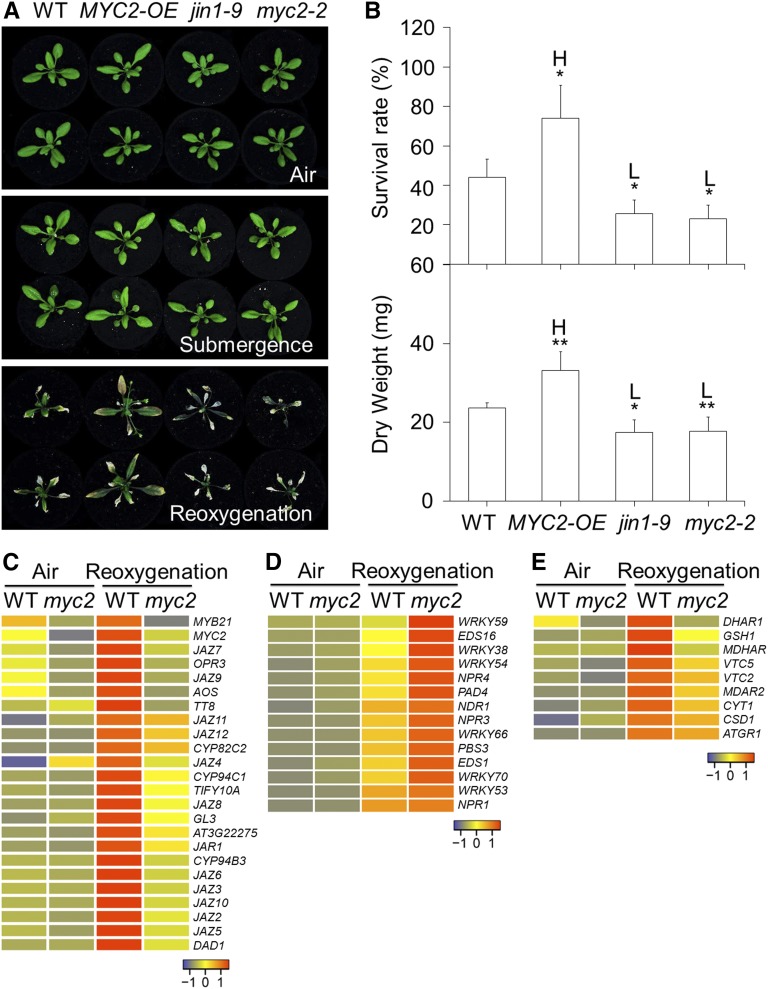 Figure 4.