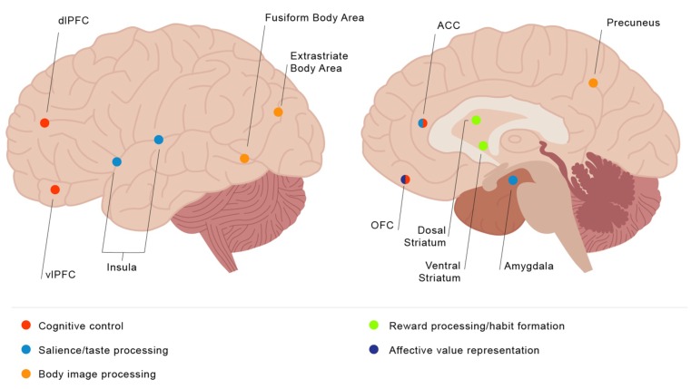 Fig. (1)