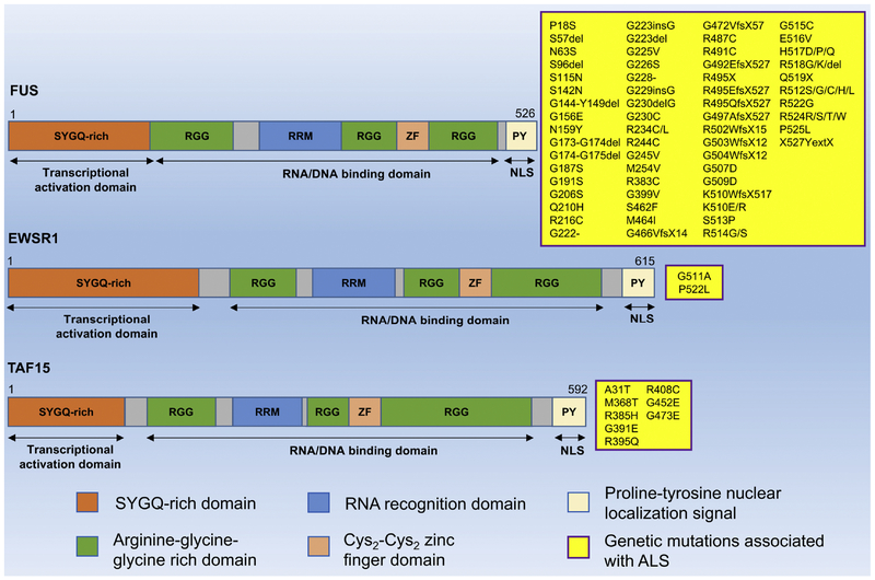 Figure 1: