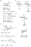 Scheme 19