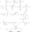 Scheme 14