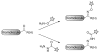 Scheme 8