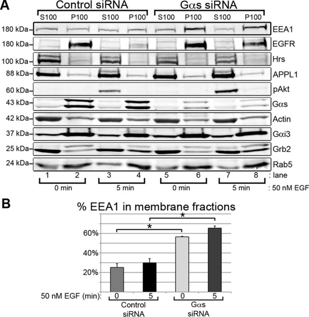 FIGURE 5: