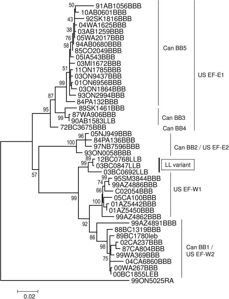 Fig 5