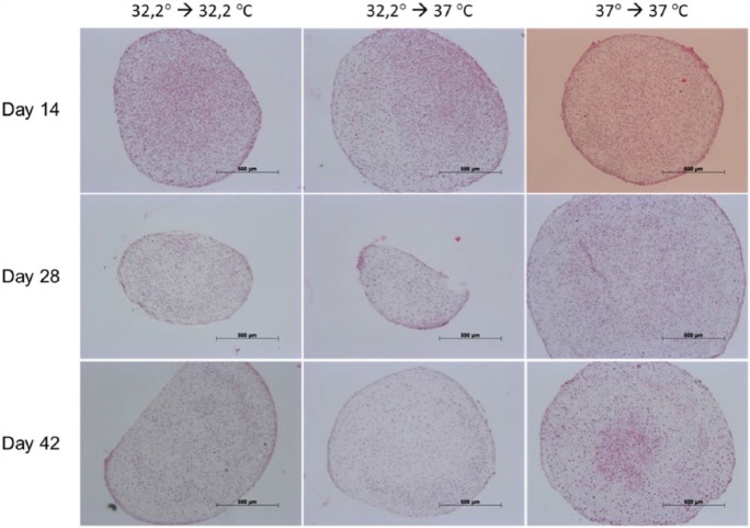 Figure 11.