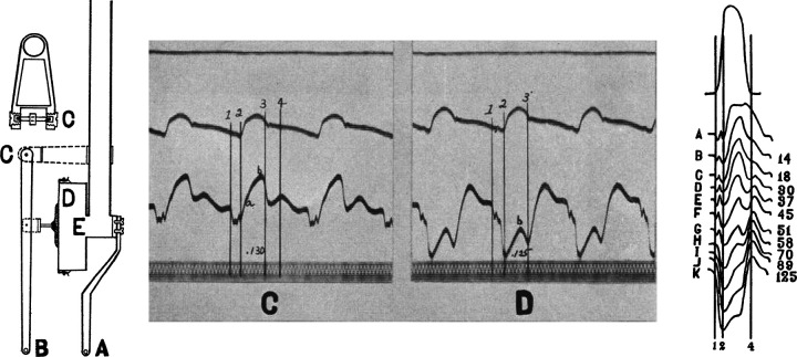 Figure 8.