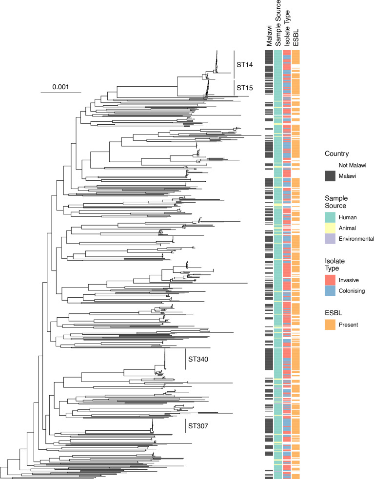 Fig. 3.