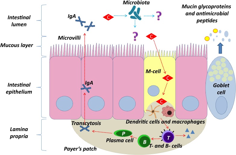 FIGURE 3