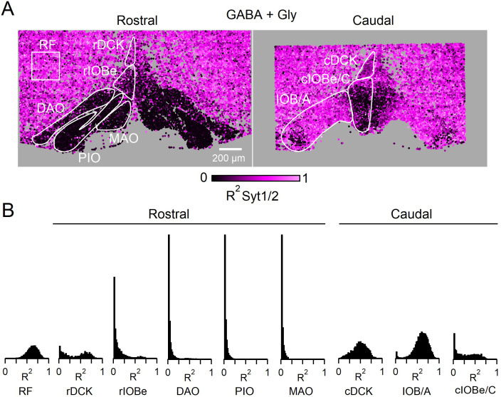 Figure 1—figure supplement 1.