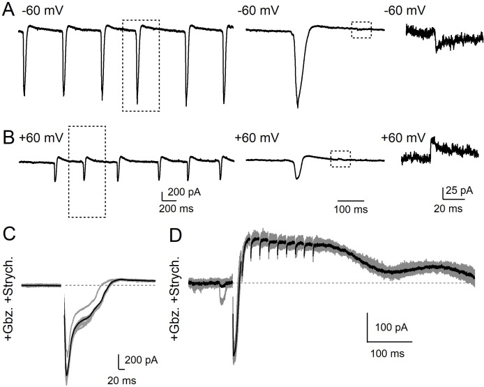 Figure 6—figure supplement 1.