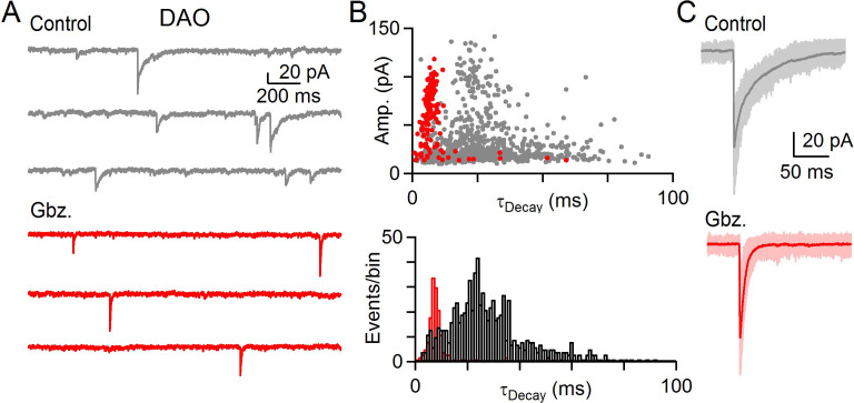 Figure 2—figure supplement 1.