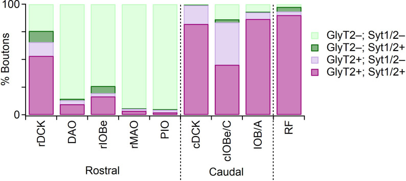 Figure 1—figure supplement 2.