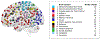 Fig 1: