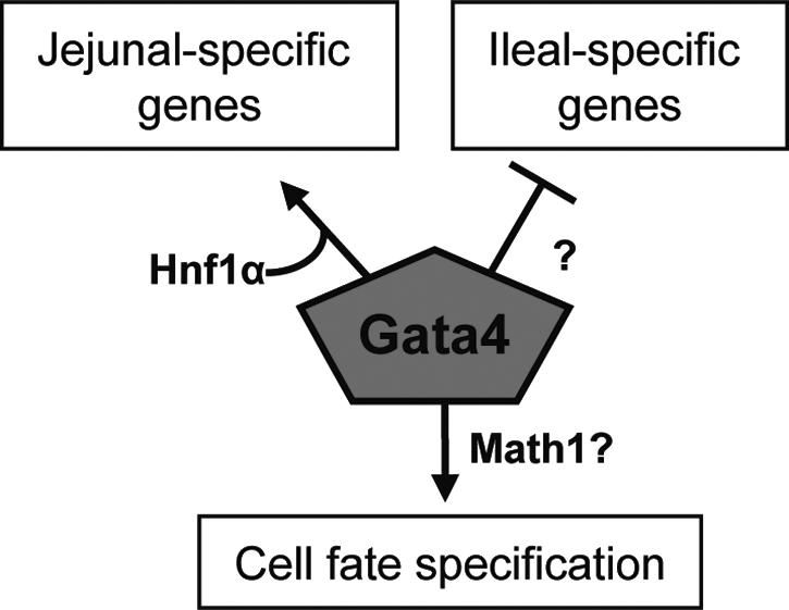 FIG. 8.