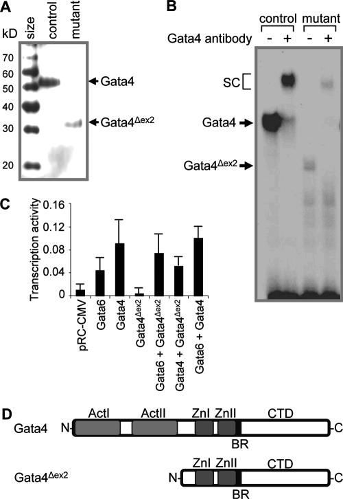 FIG. 4.