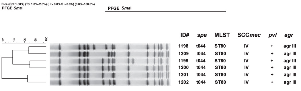 FIG. 1