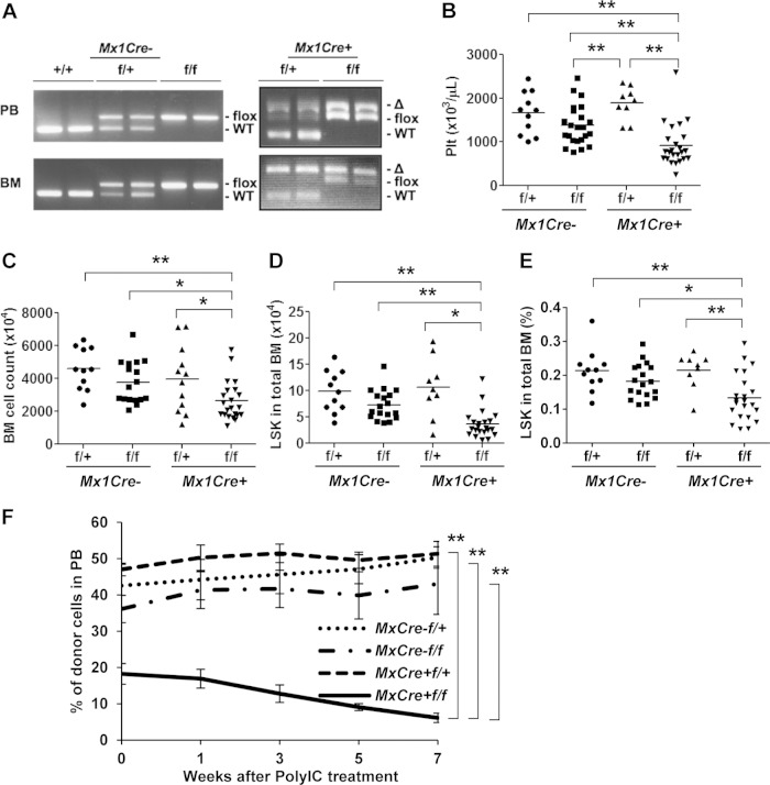 FIG 4