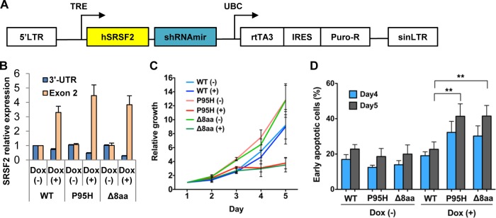 FIG 6